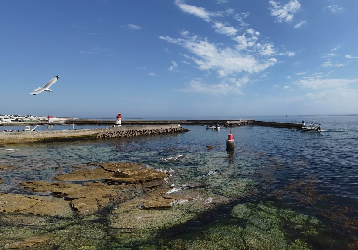 header activ travaux Activ Travaux Pays Bigouden - (Bertrand de Cabissole)