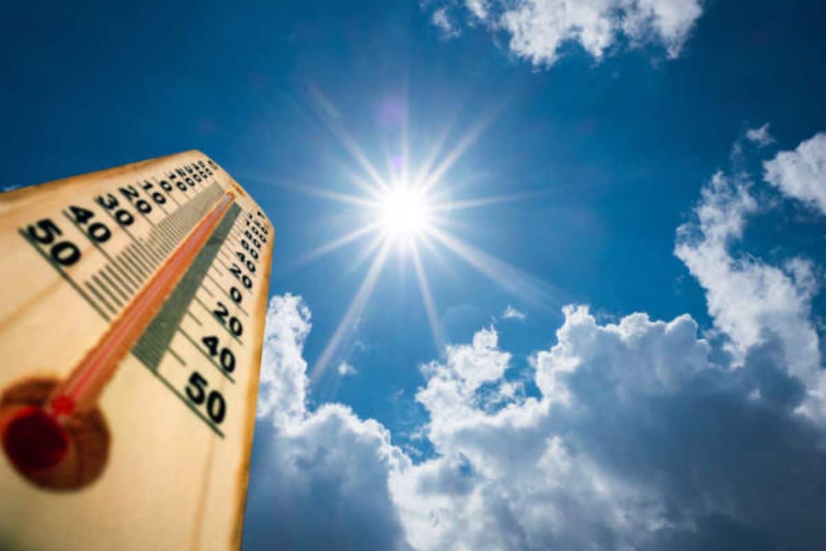 image de Canicule et fortes chaleurs : quels travaux d'aménagement intérieur pour garder son logement au frais ?