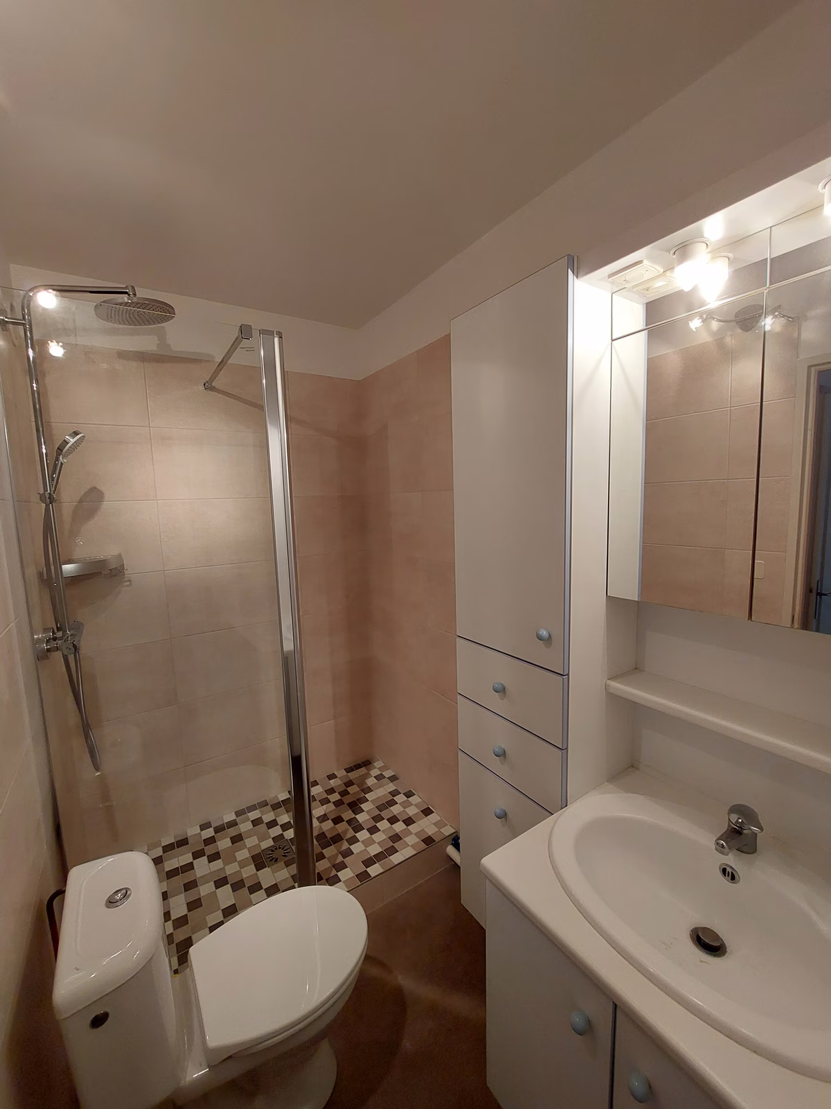 rénovation d'une véranda suite à infiltrations sur une partie de la toiture - Limoges